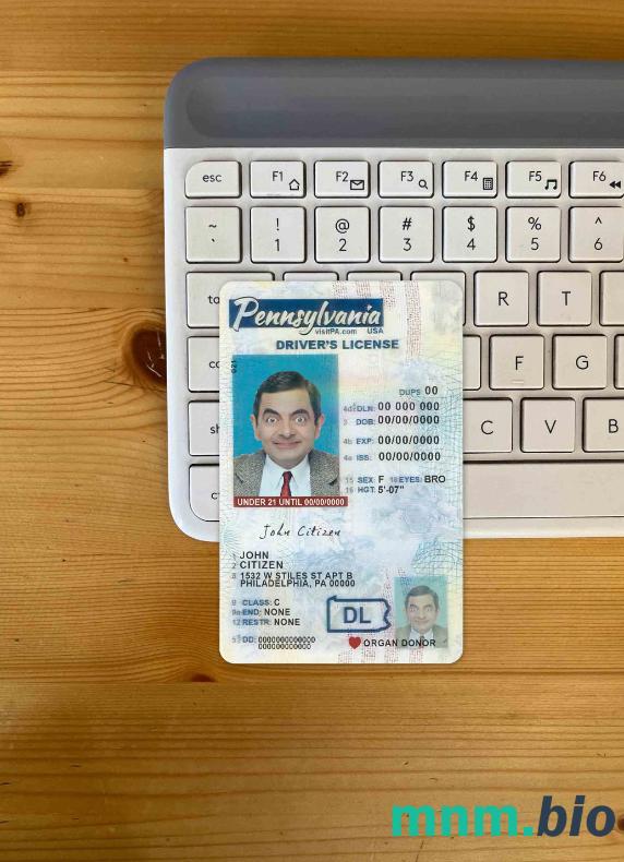 USA Pensylwania prawo jazdy poniżej 21 lat photolook